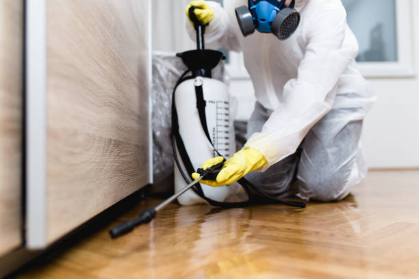 Best Best Pest Control Companies  in Linda, CA