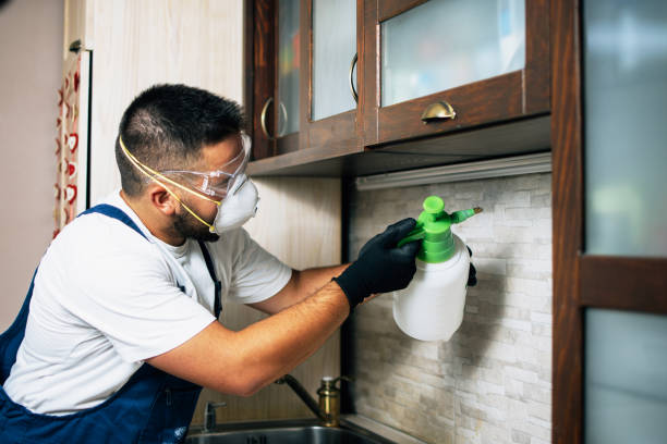 Best Affordable Pest Control Services  in Linda, CA