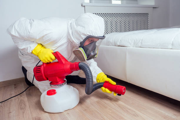 Best Affordable Pest Control Services  in Linda, CA