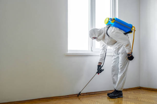 Best Pest Prevention Services  in Linda, CA