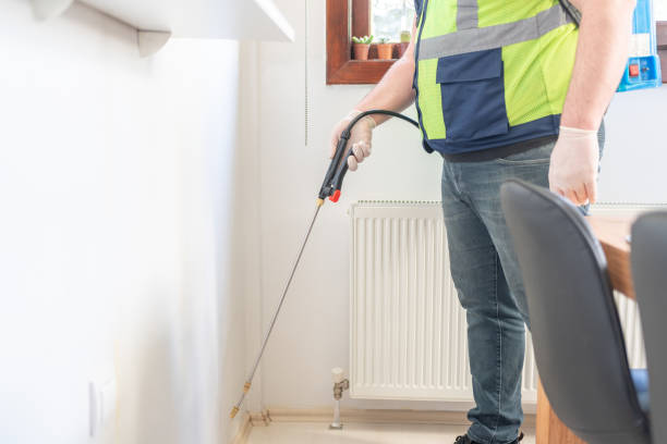 Best Insect Control  in Linda, CA