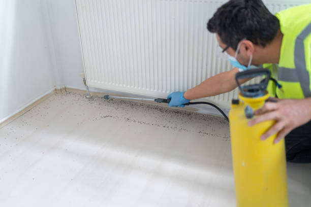 Best Insect Control  in Linda, CA