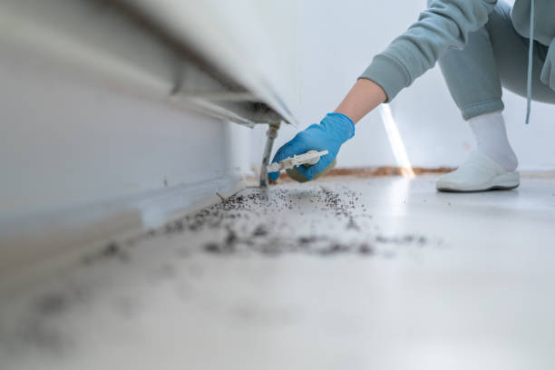 Best Pest Control Near Me  in Linda, CA