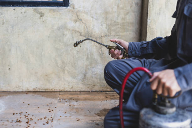 Best Emergency Pest Control  in Linda, CA