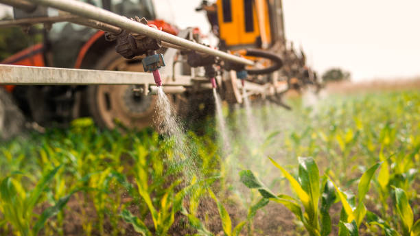 Best Commercial Pest Control Services  in Linda, CA